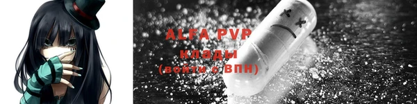 Альфа ПВП Новодвинск
